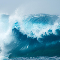 Die Philosophie des Meeres - Von Tiefen und Untiefen