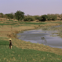 Klimawandel - Der Konfliktanheizer 
