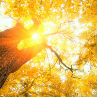 Das Heilige - Begegnung mit dem Nicht-Alltäglichen