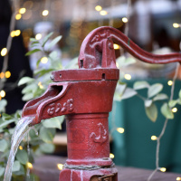 Grundwasser - Ein geheimnisvoller Lebensraum