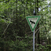 Die halbe Erde unter Schutz - Rettungsmaßnahmen für Klima und Arten 