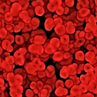 Blut - Elixier des Lebens