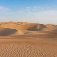 Verwüstung - Wenn der Boden nutzlos wird