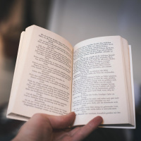 Jörg Fauser - Wegbereiter der Underground-Literatur