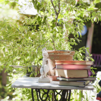 Wenn das blaue Band flattert - Frühling in der Literatur