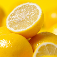 Auf der Spur der Zitronen - eine Reise zu den Zitrusfrüchten