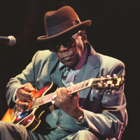 Der Blues - Feeling so Black and Blue?