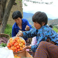 Das Land des grünen Glücks? Bhutan als ökologisches Modellprojekt