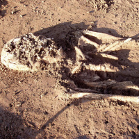 Herkunft der Bajuwaren - Neues zu einem alten Rätsel