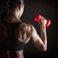 Krafttraining - Mit Ausdauer zu Muskeln