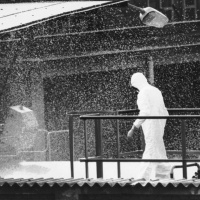 Giftiger Schnee im Sommer - Lehren aus der Katastrophe von Seveso