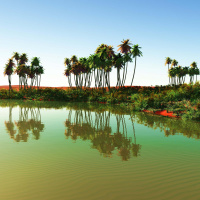 #01 Oasen - Inseln der Wüste?