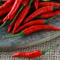 Chili - Heiße Schoten