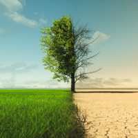 Tipping Points in der Klimakrise - Es gibt kein zurück