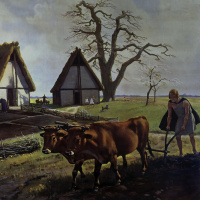 Der Beginn der Landwirtschaft - Alles Natur