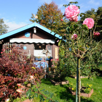 Der Schrebergarten - Idylle im Kleinformat