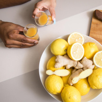 Das Immunsystem - Wächter unseres Körpers