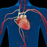 #01 Das Herz - Motor und Pumpe