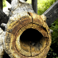 Sole, Salz und Holz - Die erste Pipeline stand in Bayern