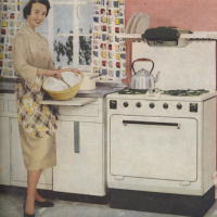 Beruf: Hausfrau - Die Geschichte einer Arbeiterin