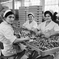 Gastarbeiterinnen in Deutschland (2/2)