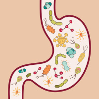 Das Mikrobiom - Wir sind viele