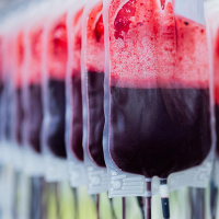 Blut - Elixier des Lebens