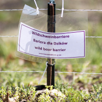 Tiere und Zäune - Von tödlichen Grenzen