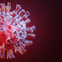 Viren - Killer und Lebensretter