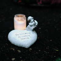 Sterben - Chronologie des letzten Abschieds