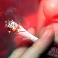 #01 Der Geist der Pflanzen - Psychoaktive Substanzen