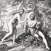 Die Macht der Erbsünde - Historische Folgen einer Erzählung