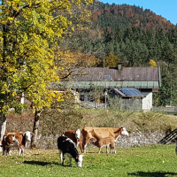 Bergbauern - Nachhaltig aus Tradition