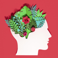 Fantasie - Das oft ungenutzte Potenzial