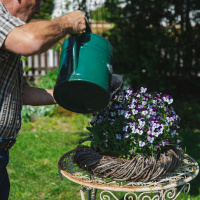 Gärtnern als spirituelle Erfahrung - Vom Entstehen und Vergehen 