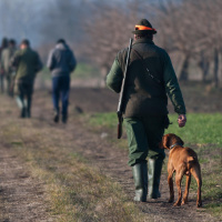 Die Jagd - Von der Trophäenjagd zur Ökojagd