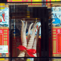 Tierprodukte in der Medizin - Heilmittel oder Aberglaube? 