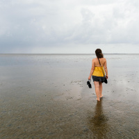 Weltnaturerbe Wattenmeer - Ökosystem im Wechsel von Flut und Ebbe