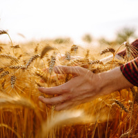Die Erde, unser Schatz - Alles Natur