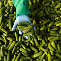 Lebensmittelkontrolle - Eine Risiko-Geschichte