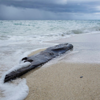 Der Golfstrom - Kreislauf mit vielen Unbekannten