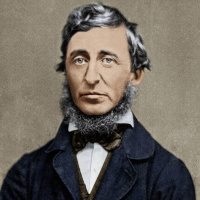 Henry David Thoreau - Rebell und Öko-Pionier