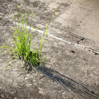 Beton - Fasern, Poren, Bakterien