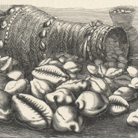 Die Geschichte des Geldes - Von der Muschel zur Kreditkarte