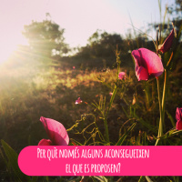 Per què només alguns aconsegueixen el que es proposen?