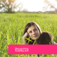 Visualitza
