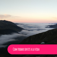 Com trobar sentit a la vida