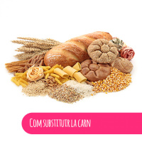 Com substituir la carn?