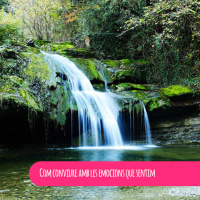 Com conviure amb les emocions que sentim