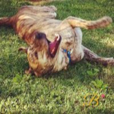 Podcast De Becoming-psicocoaching